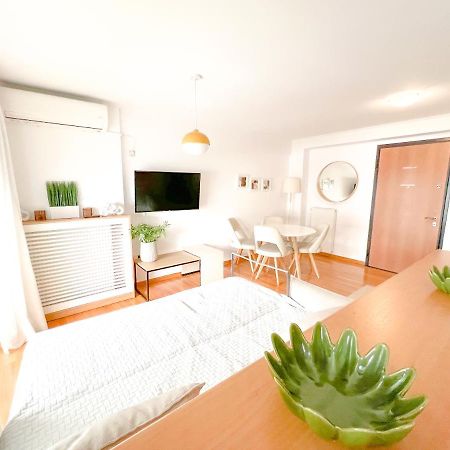Helichrysum Anhome Premium Selection Athene Buitenkant foto